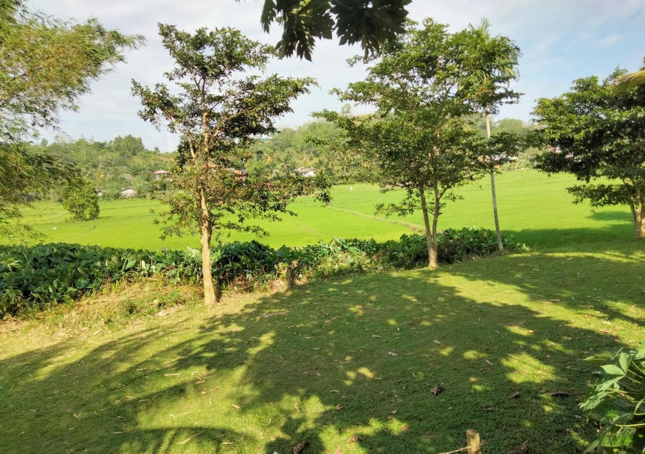 Villa Peacock Walahanduwa المظهر الخارجي الصورة